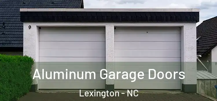  Aluminum Garage Doors Lexington - NC