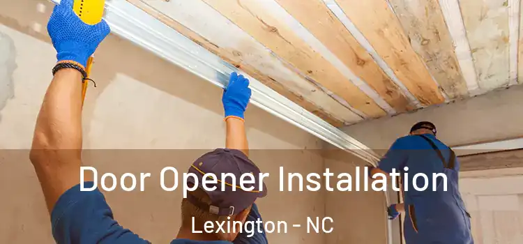  Door Opener Installation Lexington - NC