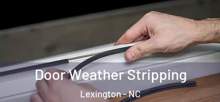  Door Weather Stripping Lexington - NC
