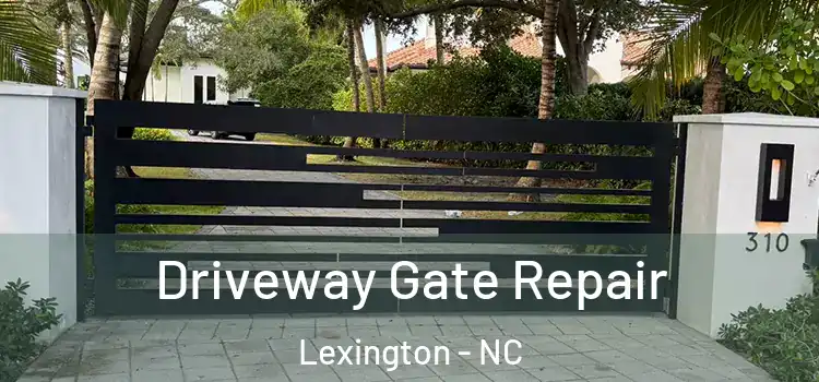 Driveway Gate Repair Lexington - NC