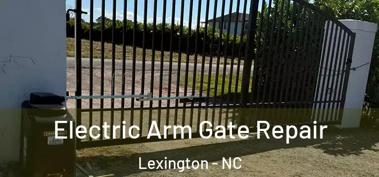 Electric Arm Gate Repair Lexington - NC