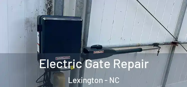  Electric Gate Repair Lexington - NC