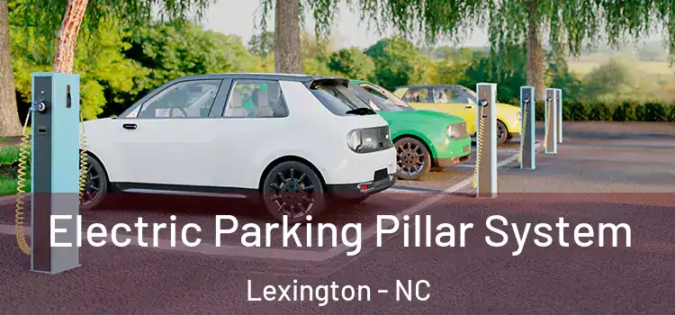 Electric Parking Pillar System Lexington - NC