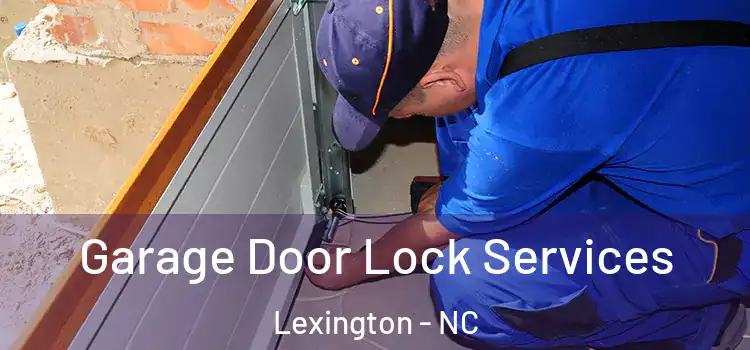  Garage Door Lock Services Lexington - NC