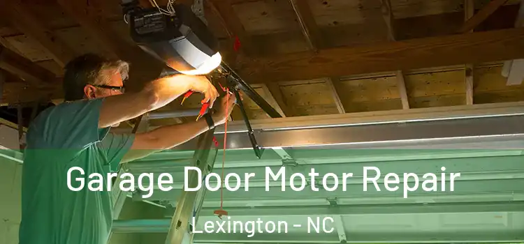  Garage Door Motor Repair Lexington - NC
