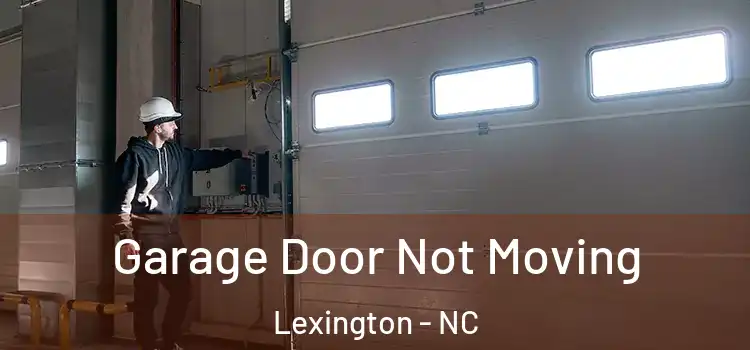  Garage Door Not Moving Lexington - NC
