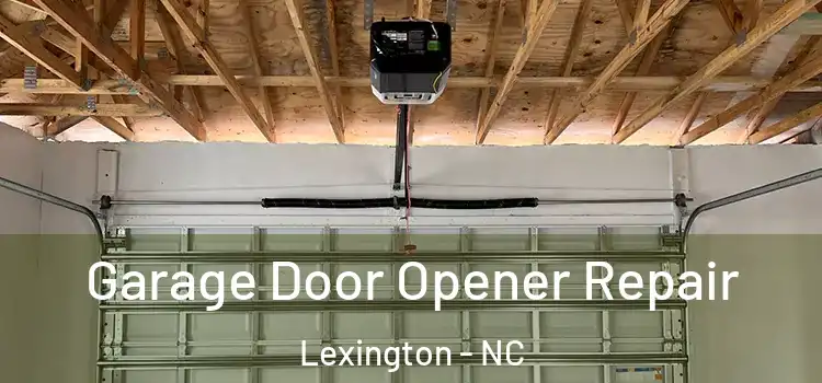  Garage Door Opener Repair Lexington - NC