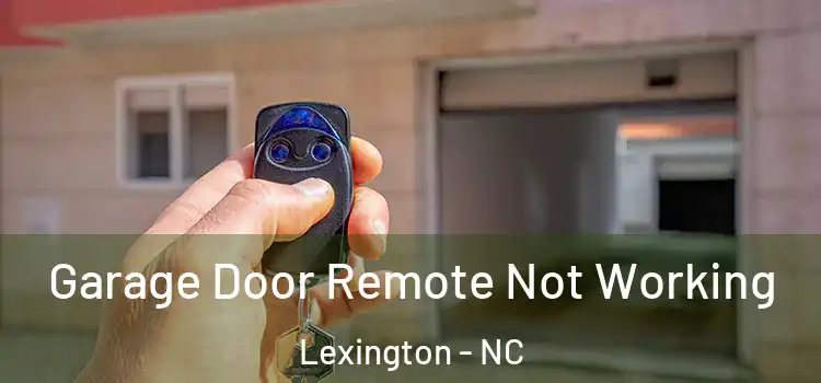  Garage Door Remote Not Working Lexington - NC