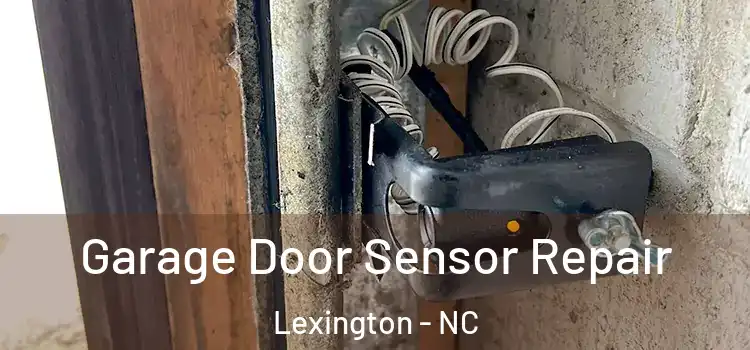 Garage Door Sensor Repair Lexington - NC