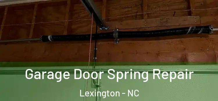  Garage Door Spring Repair Lexington - NC