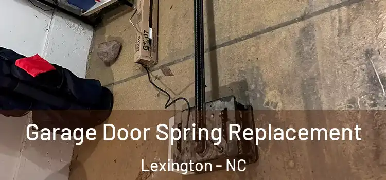  Garage Door Spring Replacement Lexington - NC
