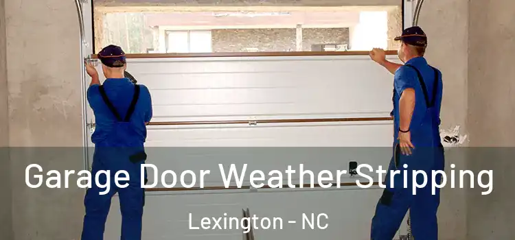  Garage Door Weather Stripping Lexington - NC