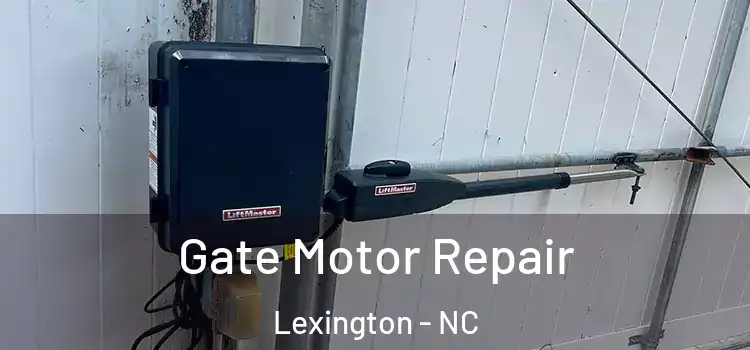  Gate Motor Repair Lexington - NC