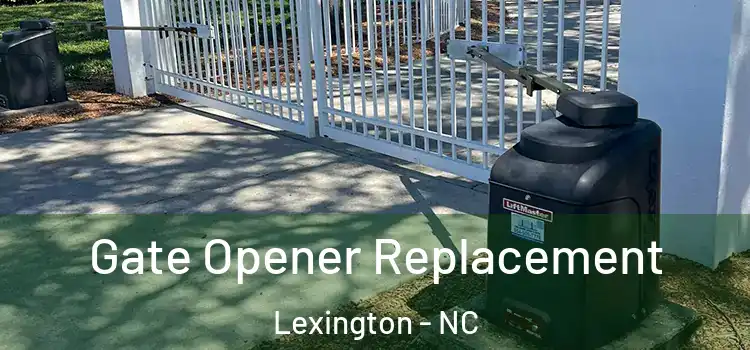 Gate Opener Replacement Lexington - NC