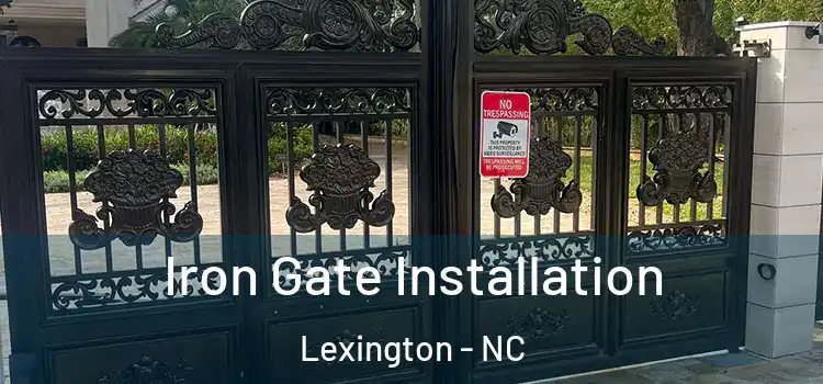 Iron Gate Installation Lexington - NC