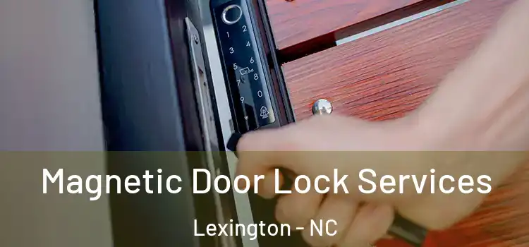  Magnetic Door Lock Services Lexington - NC