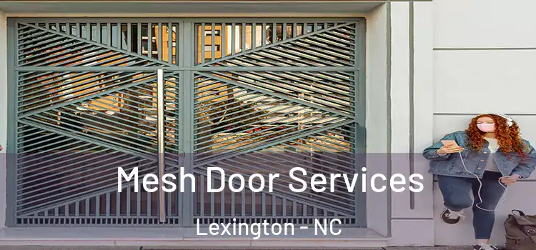 Mesh Door Services Lexington - NC