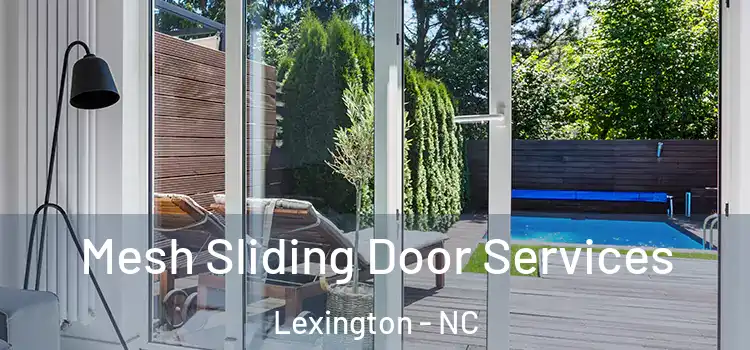 Mesh Sliding Door Services Lexington - NC