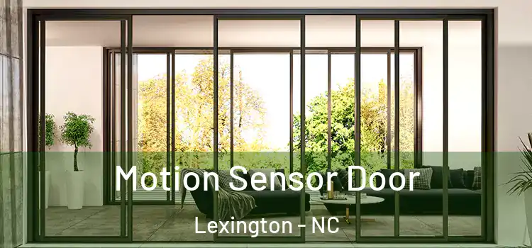Motion Sensor Door Lexington - NC