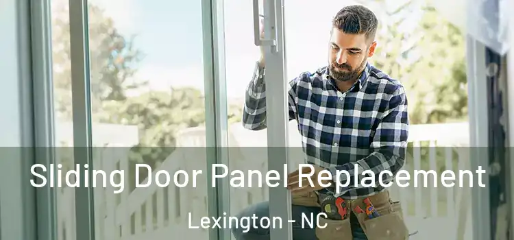 Sliding Door Panel Replacement Lexington - NC