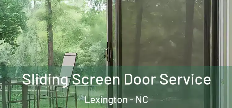  Sliding Screen Door Service Lexington - NC