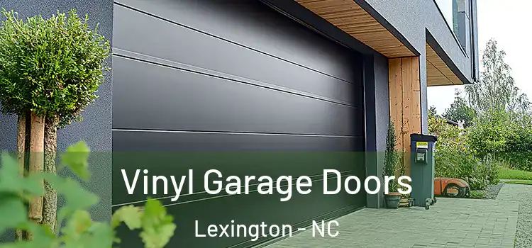  Vinyl Garage Doors Lexington - NC